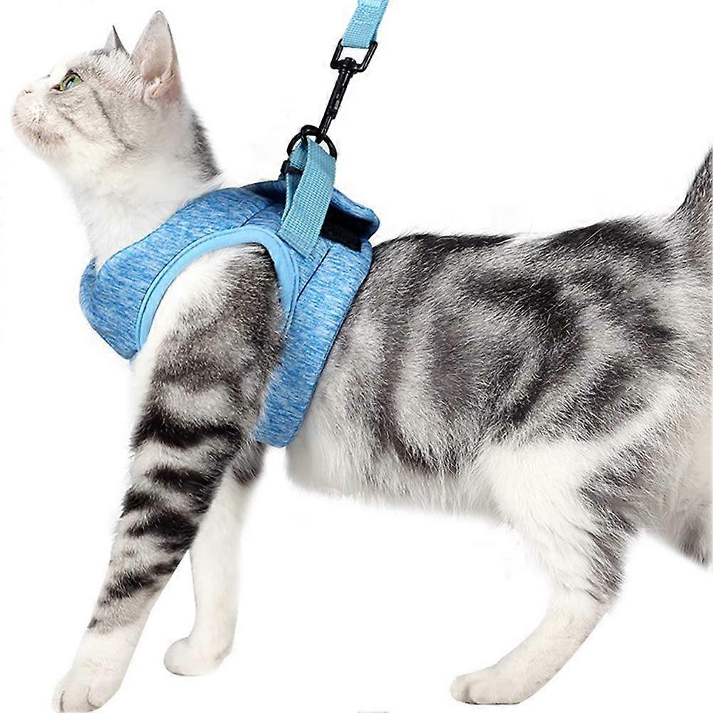 Cat Walking AntiEscaping Safety Belt with Lead, 360° Adjustable Soft Vest for Kittens, Puppies M Blue