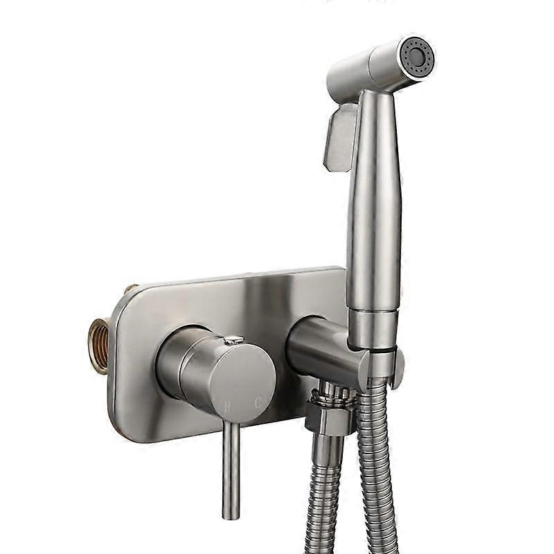 Handheld Toilet Bidet Sprayer Kit Single Handle For Toilet Brushed Silver Hot And Cold Water Jet Wash Spray Single Mode