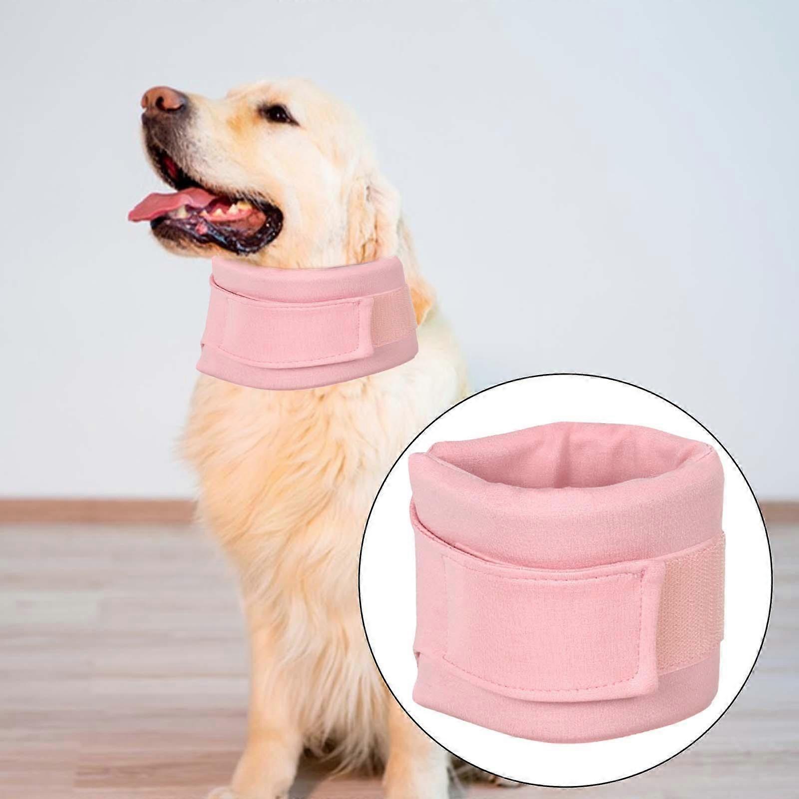 Dog Collar Anti Bite Support Adjustable for Small Dogs
