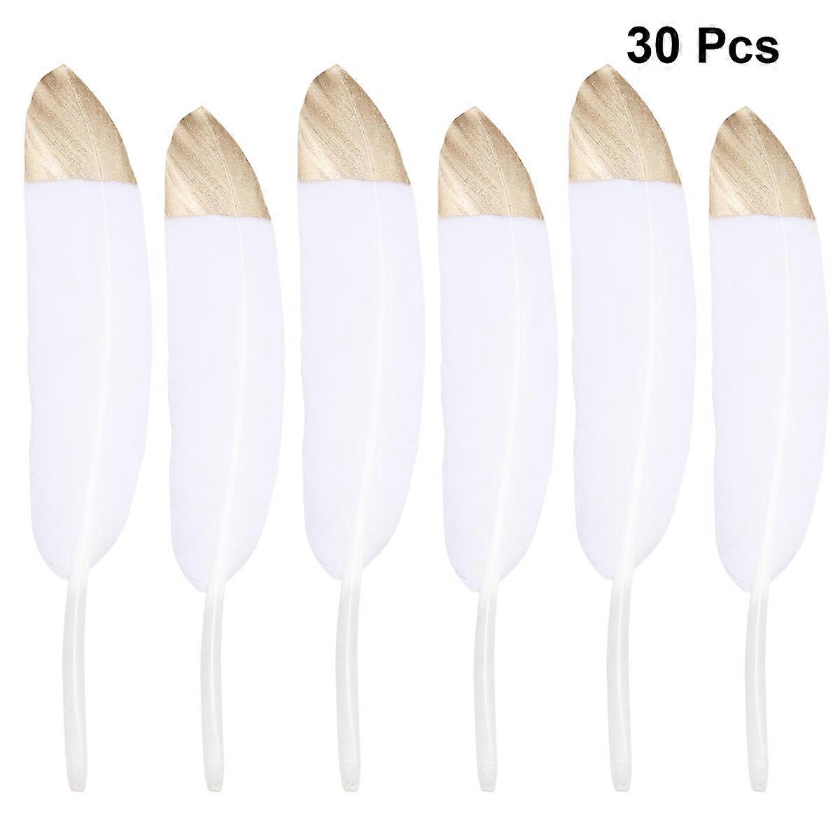 Golden Painted Tips Natural Goose for Decor Use 30Pcs Set