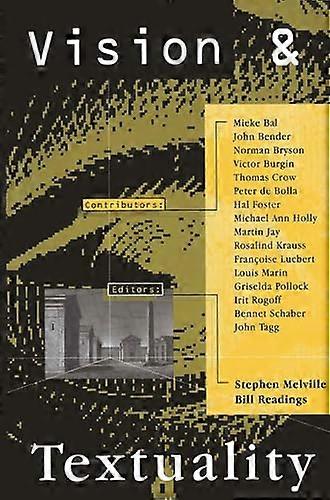 Vision and Textuality