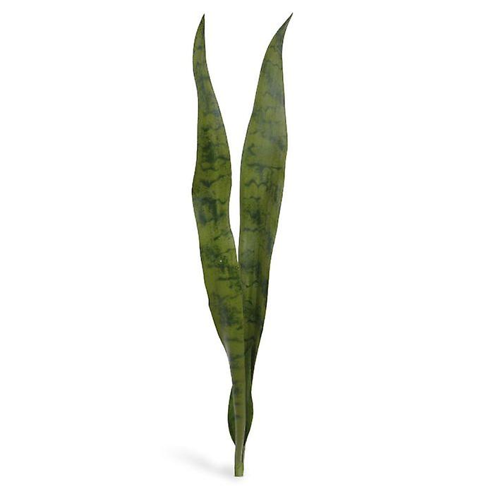 Sanseveria bouquet (80 cm)