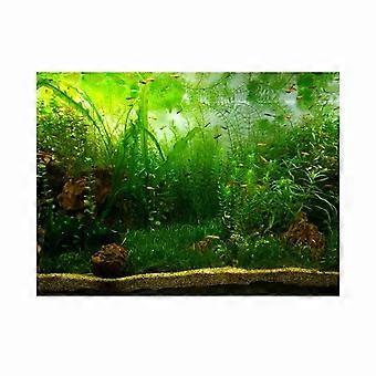 Papel decorativo decorativo de PVC para acuario (61 x 41 cm)
