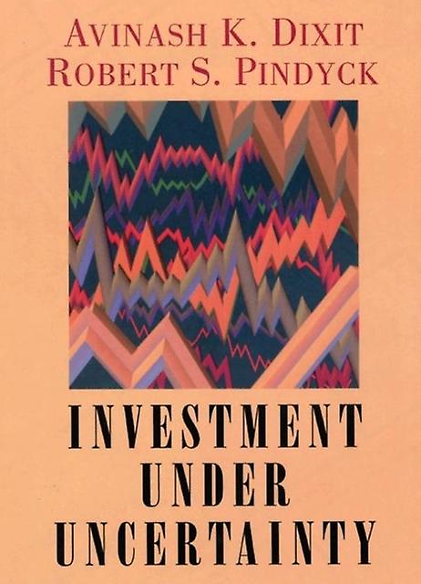 Investment Under Uncertainty by Robert S. Pindyck Hardback Book