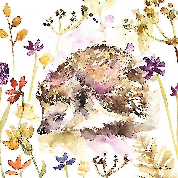 Jennifer Rose Hedgehog Canvas Print