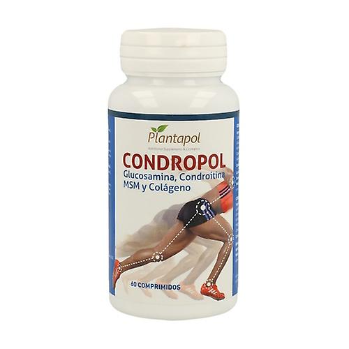 Condropol 60 tablets