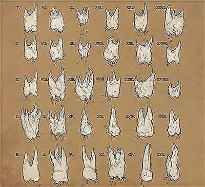 Yeesh : Confirmation Blues CD (2016)