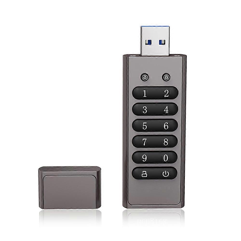 128 GB 256-Bit-verschlüsseltes USB-Laufwerk Passwort Sicheres Flash-Laufwerk USB3.0 U Disk unterstützt Reset/Wipe/Auto Lock-Funktion, Grau