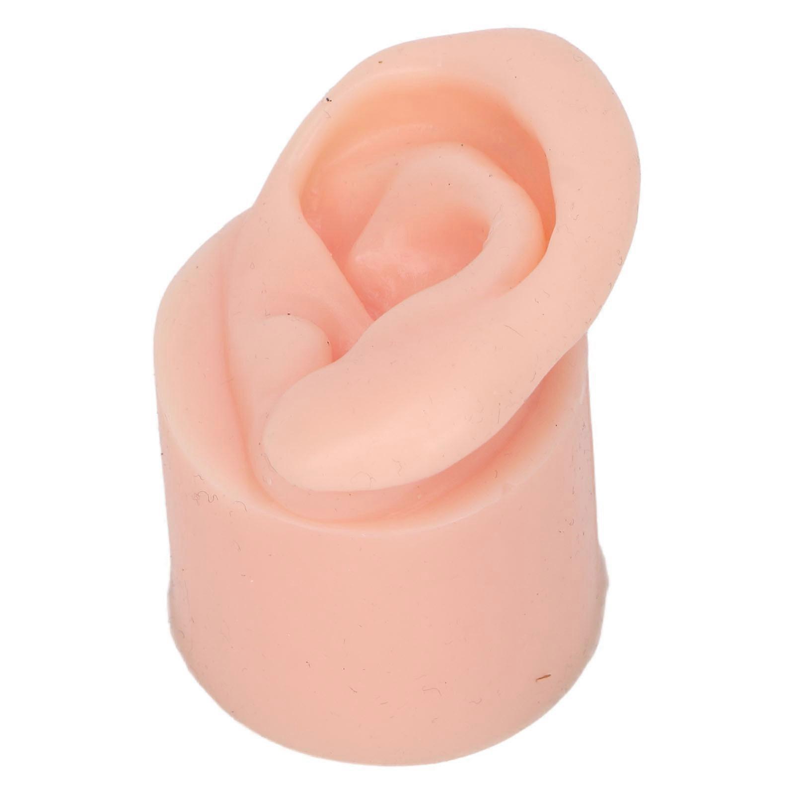 Silicone Ear Model Flexible Soft Reusable High Simulation Piercing Ear Model For Education Display