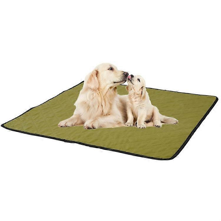 Pet Isolated Mat, Size: L (Green)