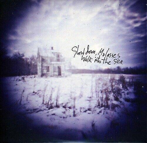 Slow Down Molasses Walk Into the Sea CD