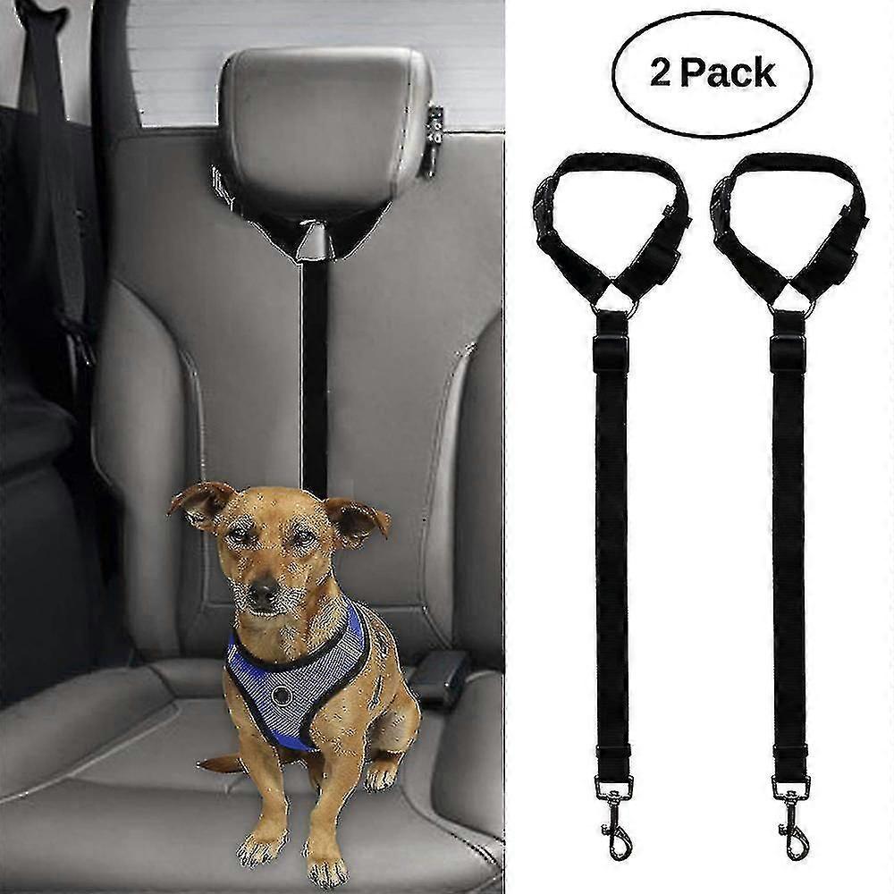 Laisse pour chien de 2 meutes avec poignée rembourrée confortable