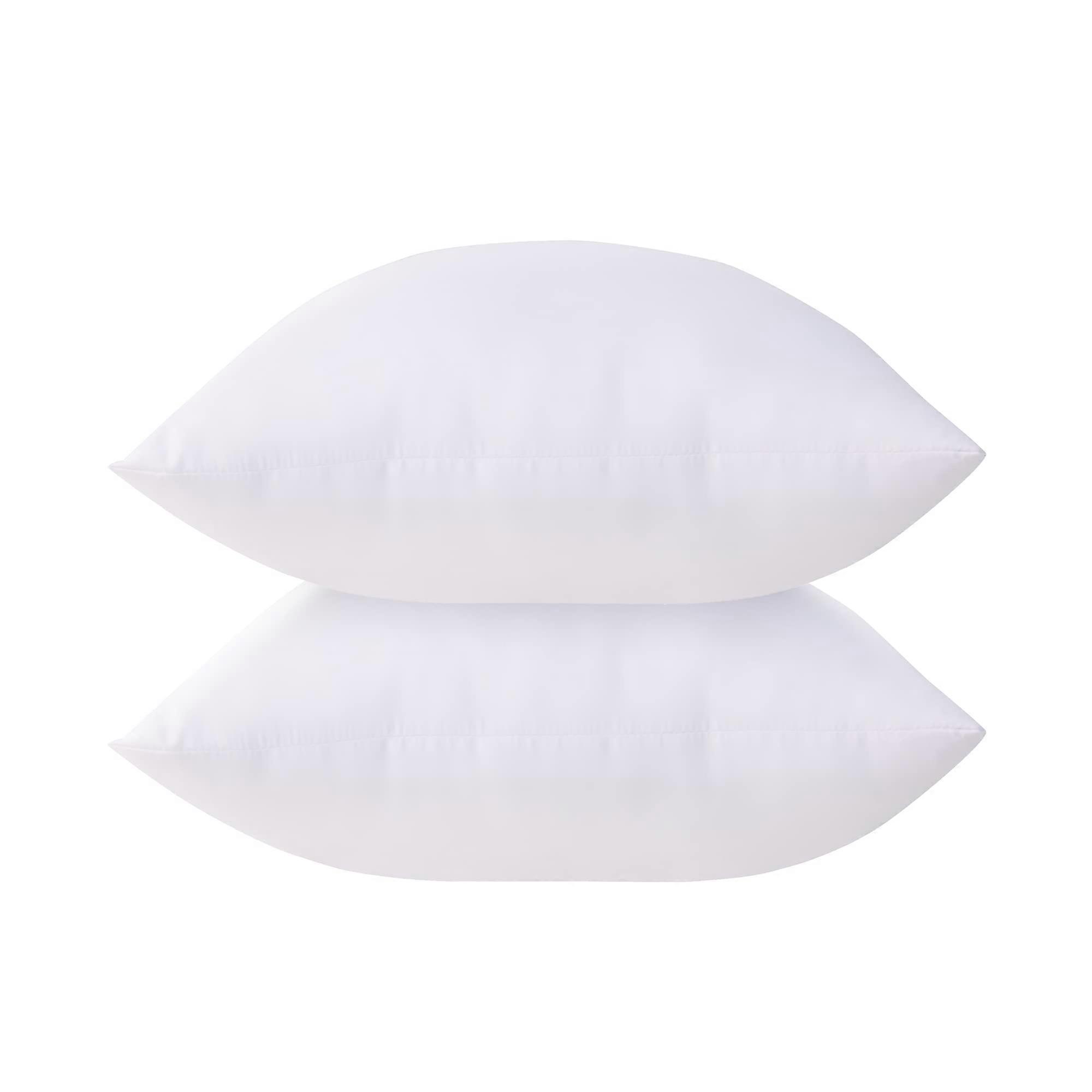 2 Count White Throw Pillow Inserts for Bed Couch 20x20 Inch