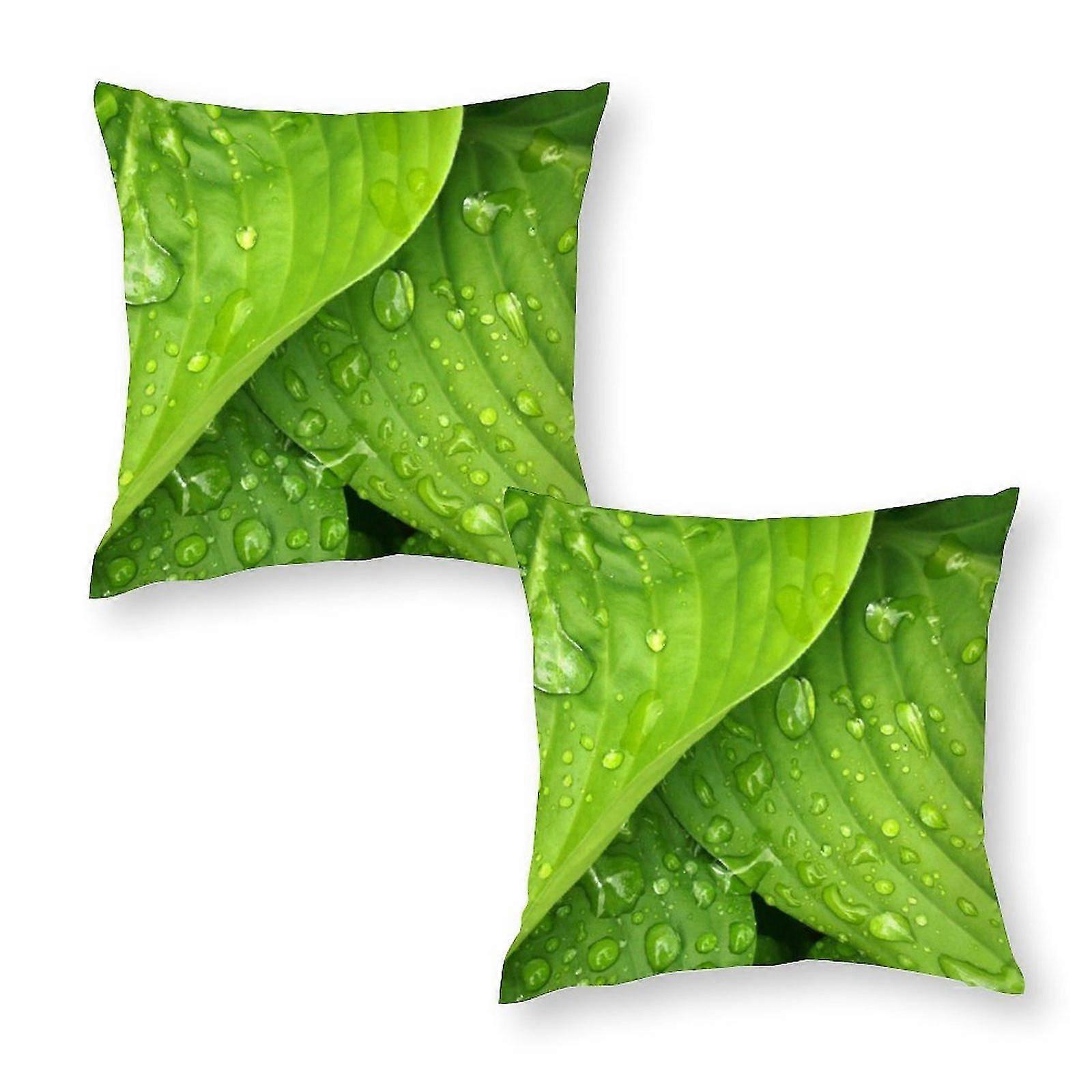 Water Dews On Leaves Set Of 2 Pillowcase