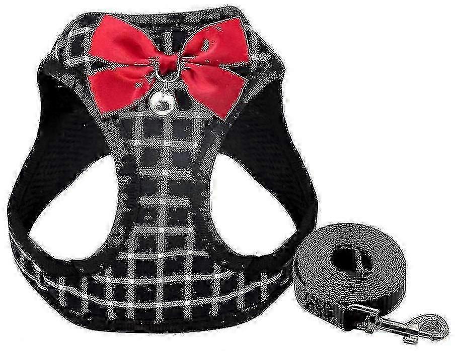 مقود الكلب الصغير ، تسخير القط الحيوانات الأليفة