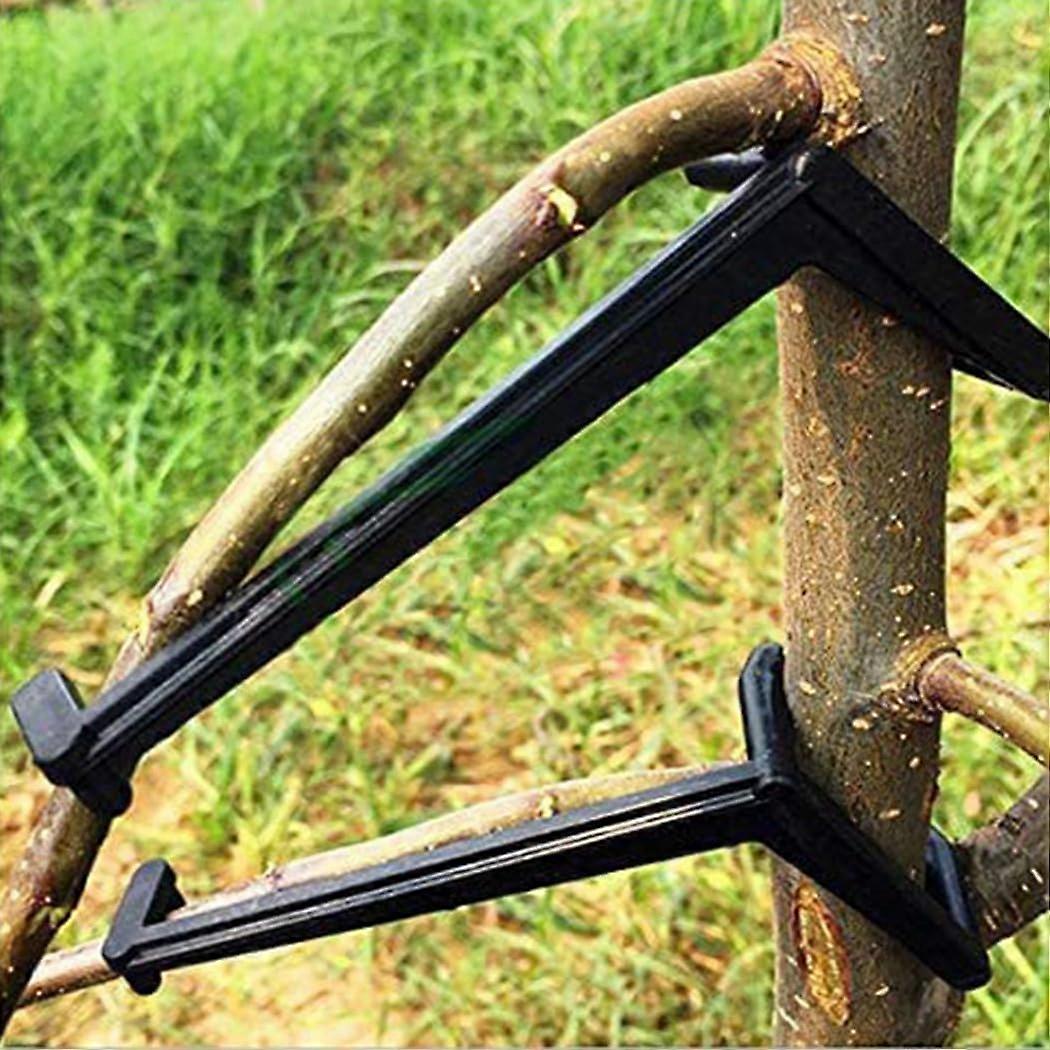 Fruit Tree Branch Spreader for Improved Light Penetration and Healthy Growth in Orchards