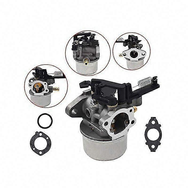 591137 Carburetor for Briggs & Stratton 111p02 111p07 590948 Macro Replacement