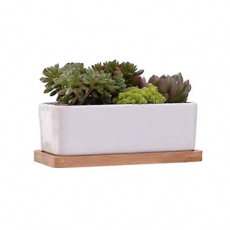 2pcs Succulent Plants Pot for Home Decor
