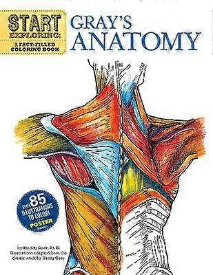 Start Exploring: Gray's Anatomy