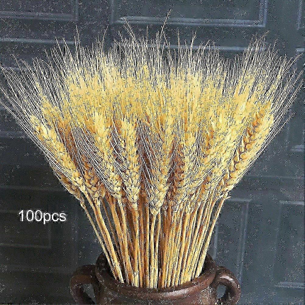 Dried Wheat Bundle Stems - 100% Natural Craft Decor for Christmas Arrangements