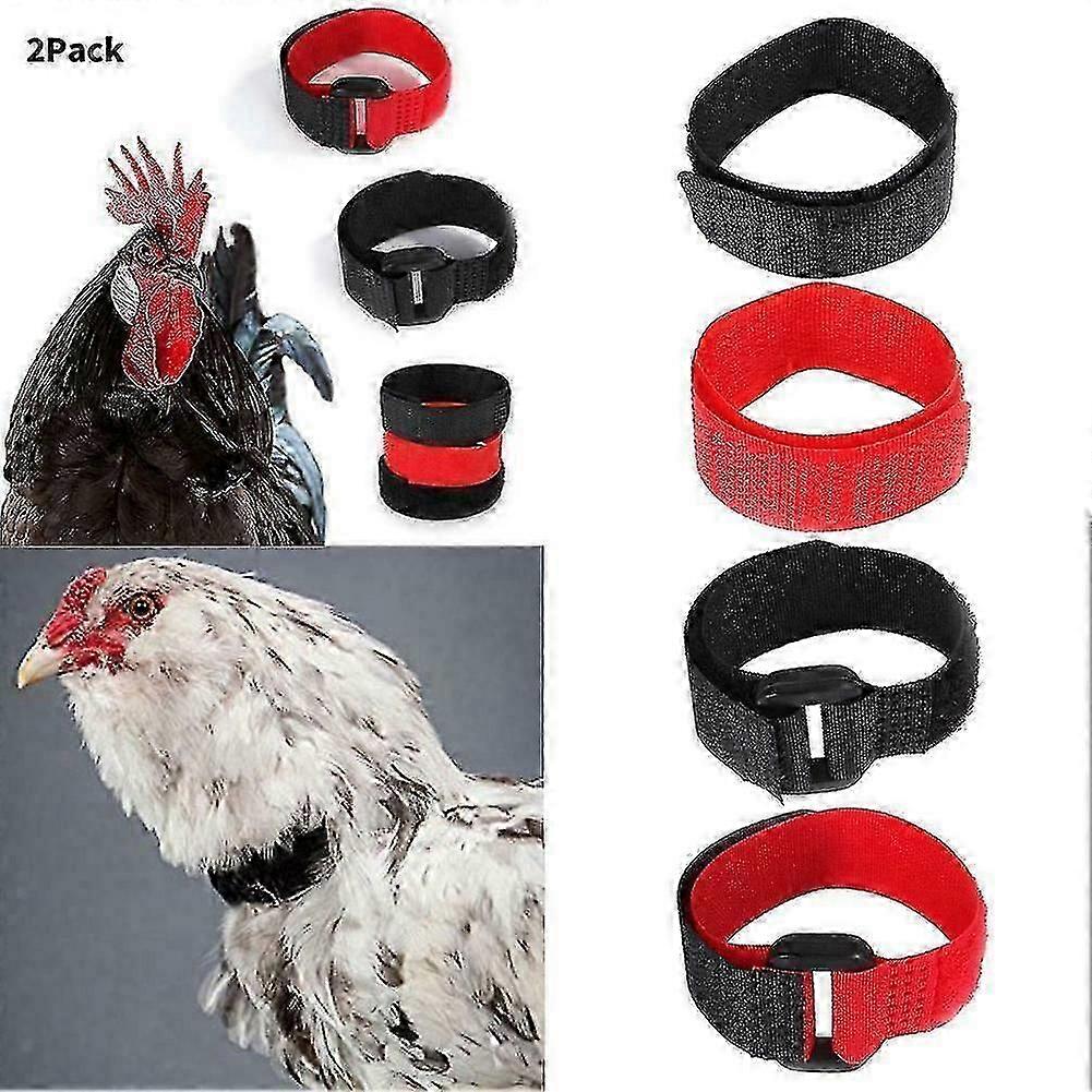 2 colliers anti-bruit pour coqs (Y5Pc)