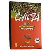 Bio Cinnamon Chewing Gum 30 g