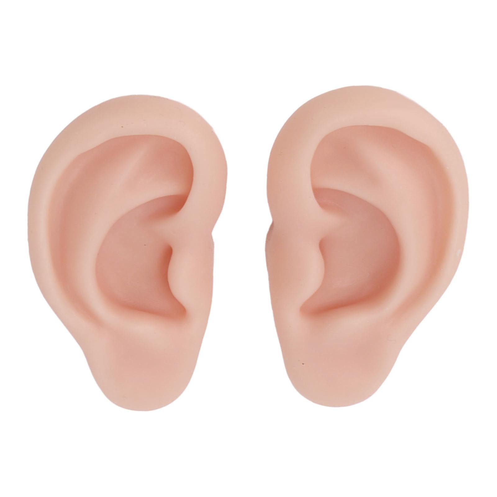 1 Pair Silicone Ear Model Soft Flexible Simulation Ear Model for Earrings Display Ear Piercing Exercise Medium Skin Color 