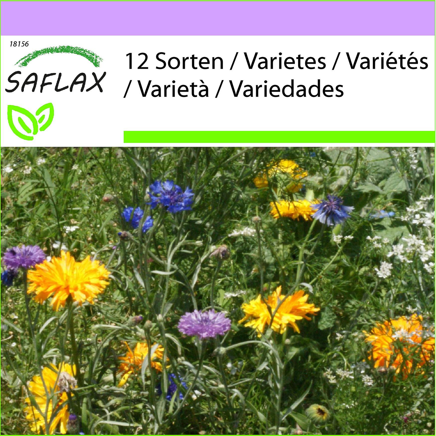 Saflax - 1000 seeds - Edible Flower Mix - Fleurs comestibles - Fiori commestibili - Estampitas comestibles - Essbare Blüten