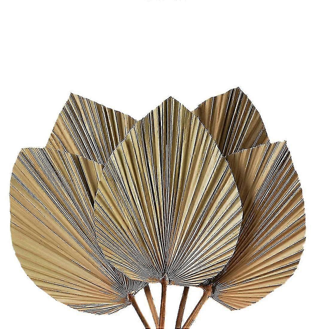 ديكور غرفة سعف النخيل المجفف 5 قطع - 18 بوصة ارتفاع × 10 بوصة عرض أوراق النخيل