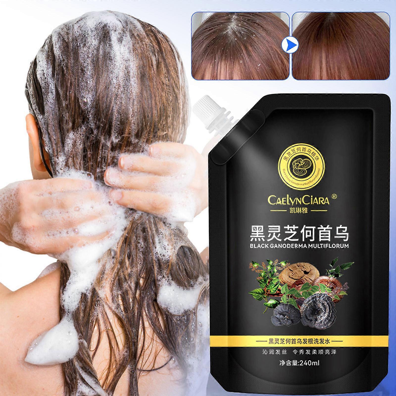 Black Ganoderma Reynoutria Multiflora Shampoo To Reduce Dandruff, Relieve Itching, Leave Fragrant, Control Oil, And Soft Hair Lotion 240ml
