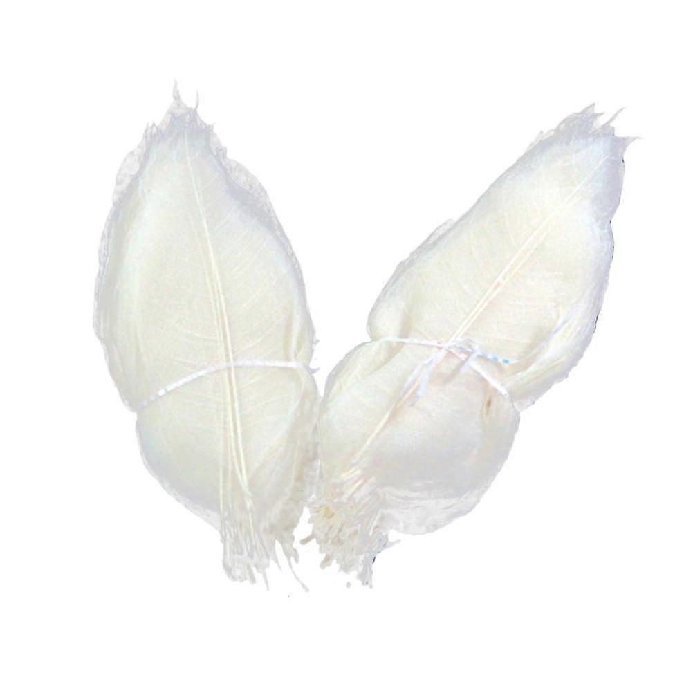 100pcs Preview Leaf Specimen Leaf Veins Rubber Skeleton Natural Leaf Skeleton100% NEW