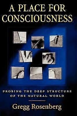 A Place for Consciousness
