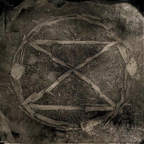 Common Eider King Eider Extinction CD (2016) NEW