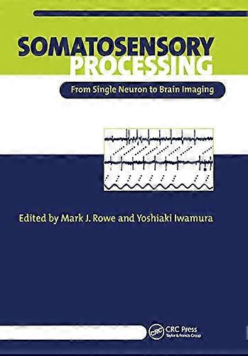 Somatosensory Processing From Single Neuron to Brain Imaging