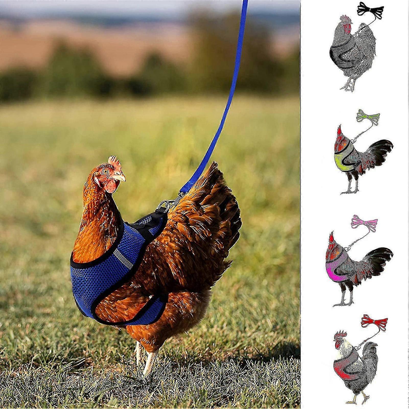 1 Set Chicken Harness With Leash Breathable Adjustable Chicken Duck Poultry Vest For Backyard - HZ