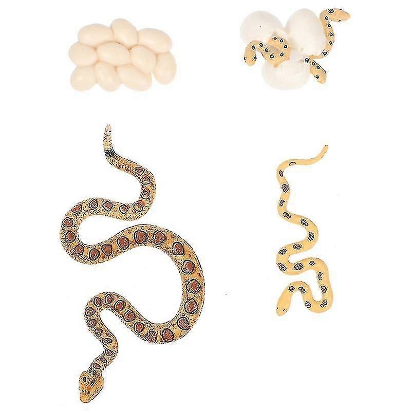 4pcs Rattlesnake Growth Model