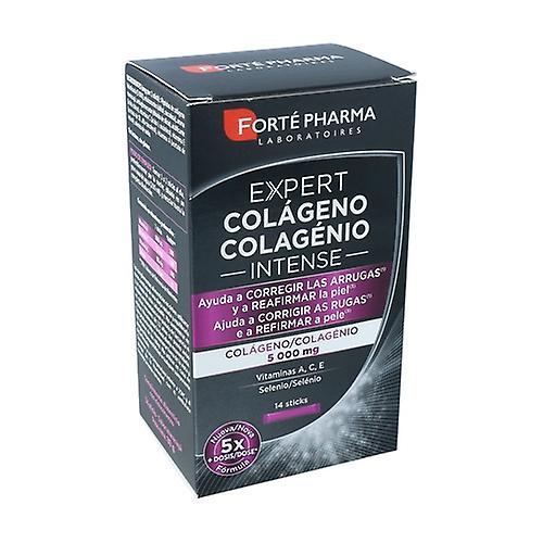 Expert Collagen Intense 14 packets