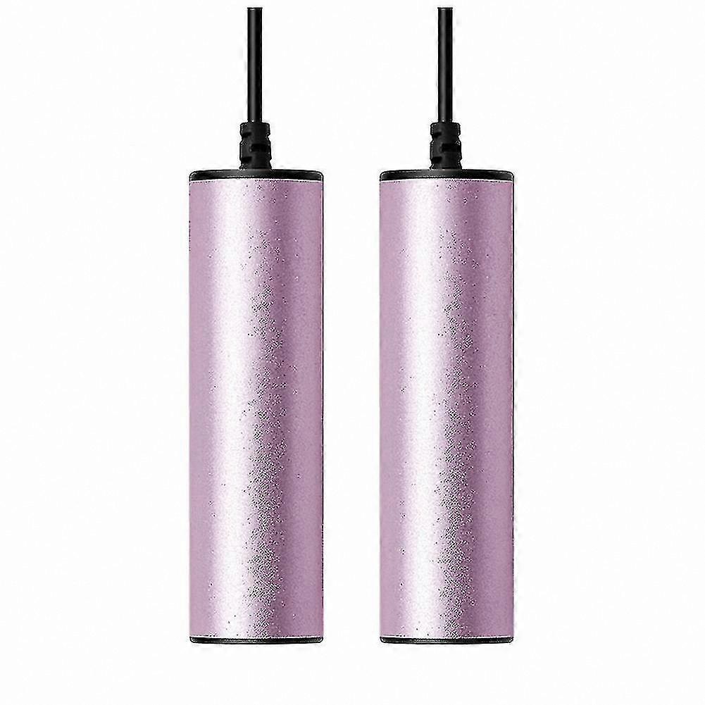 Electric Shoe Dryer with Constant Warmth and Deodorizing Function for Boots and Shoes