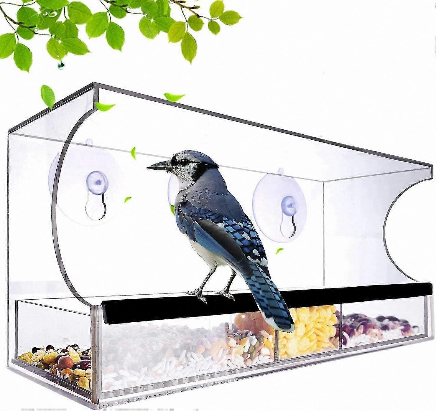 Big Transparent Acrylic Bird Feeder with Detachable Seed Tray