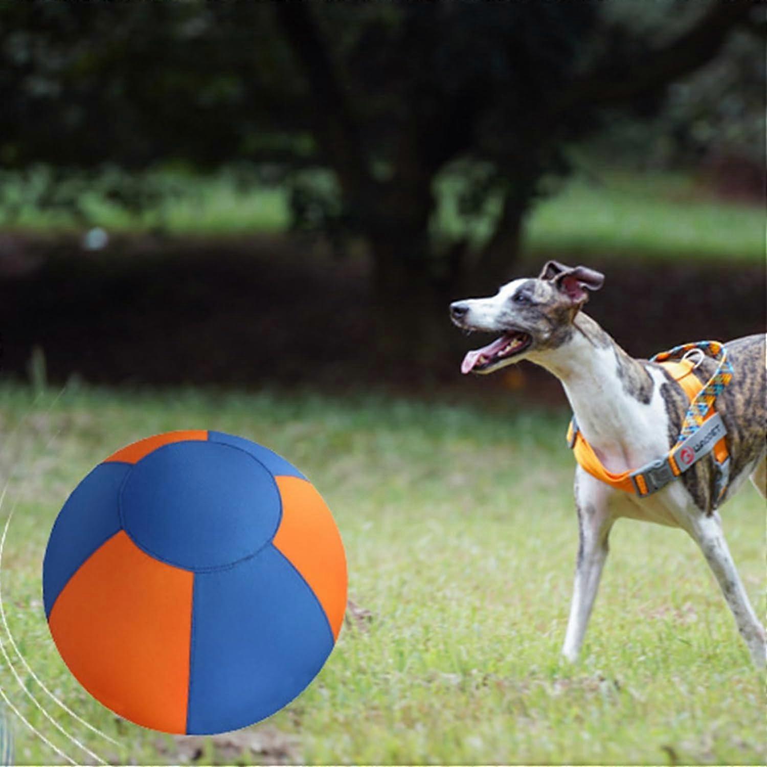 thumbnail image 2 of 6-Pack Pet Bouncy Balls – 1.5" Superballs, Dogs Go CRAZY For These! High Bounce Dog Toy 2 of 3