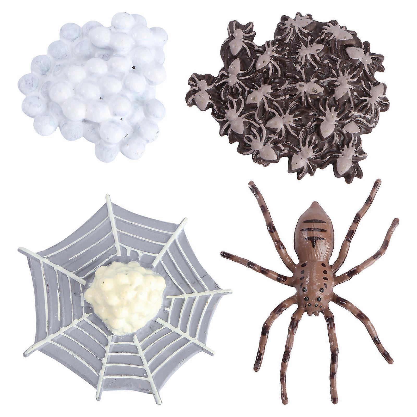1 Set of Simulation Animal Evolution Model Toy Model Party Decorations for Kids