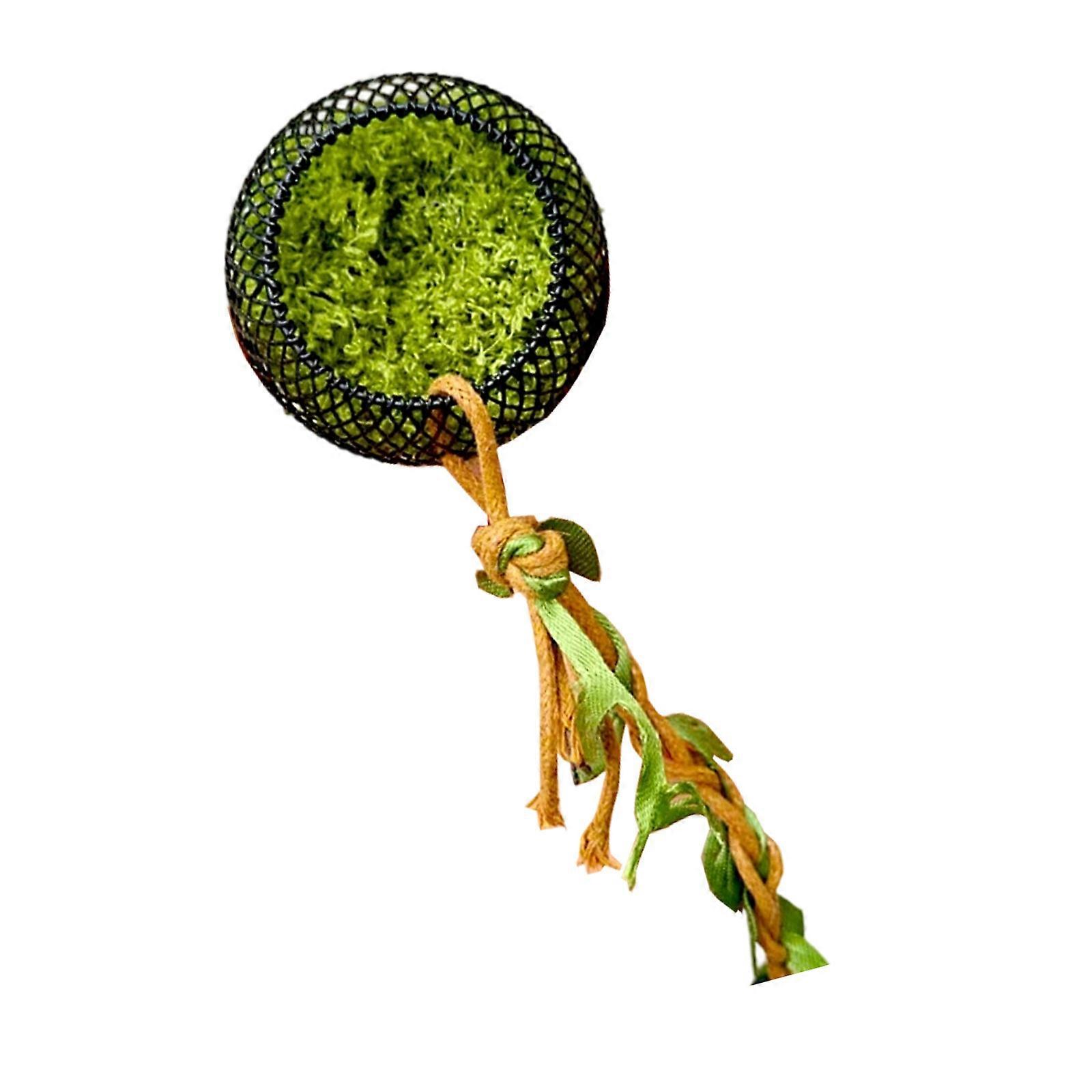 Miniature Tree Trunk Hideaways For Small Reptiles Secure Magnetic Base Nontoxic Metal Pet Habitat Multicolor