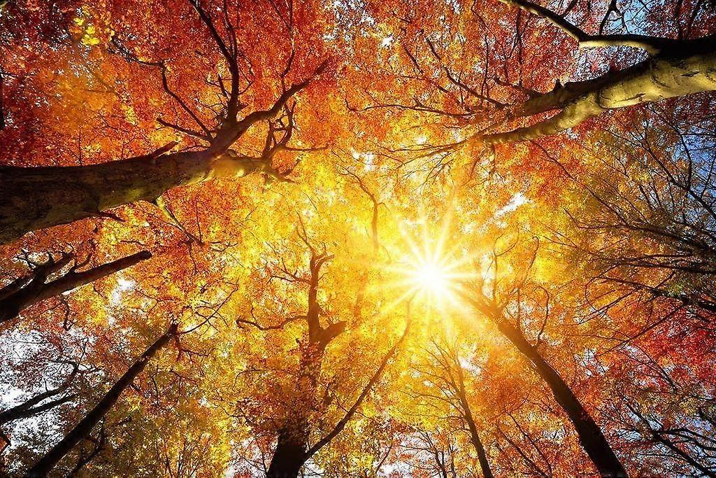 Rompecabezas antiestrés de Rainbow Six Siege Z1626