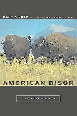Amerikaanse bizon