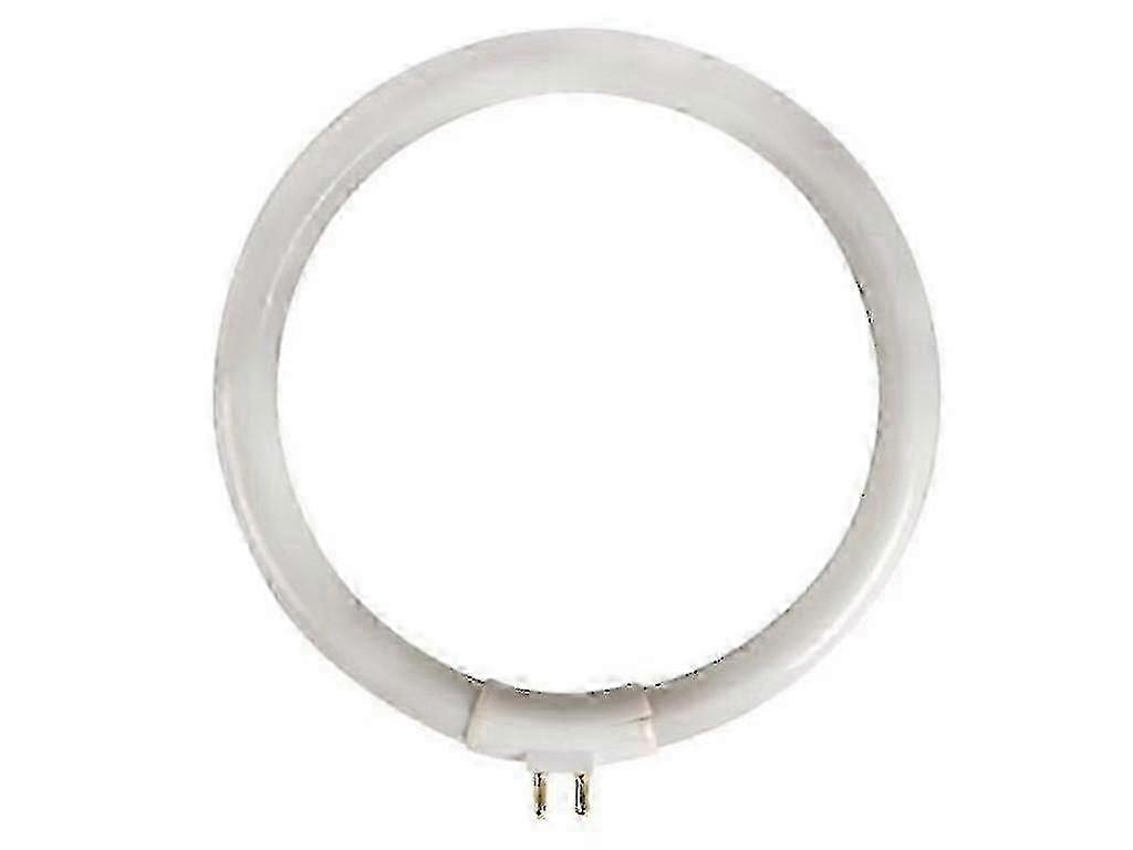 T4 Circular Fluorescent Lamp 6500K 12W