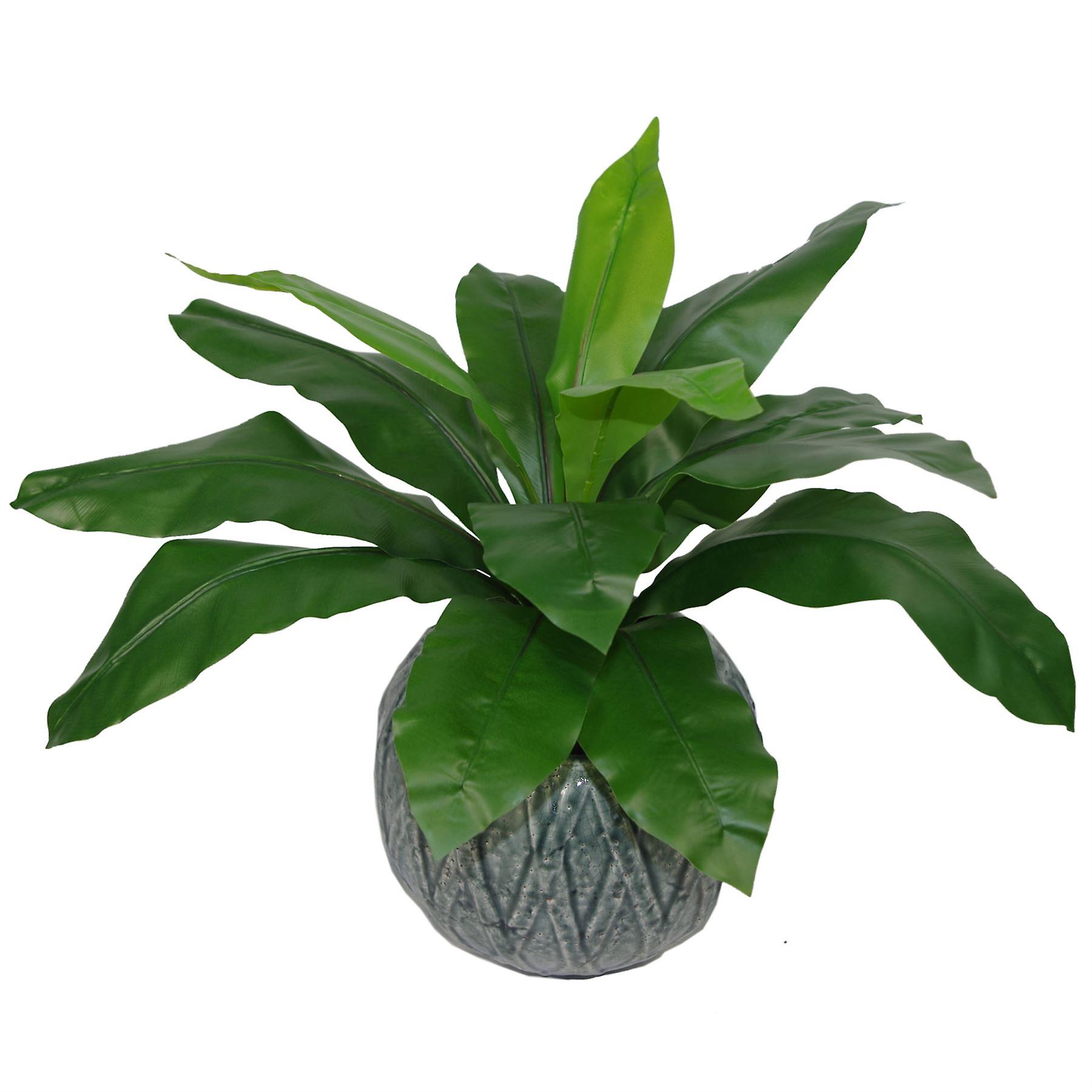 50cm Bushy Artificial Bird's Nest Fern Plant