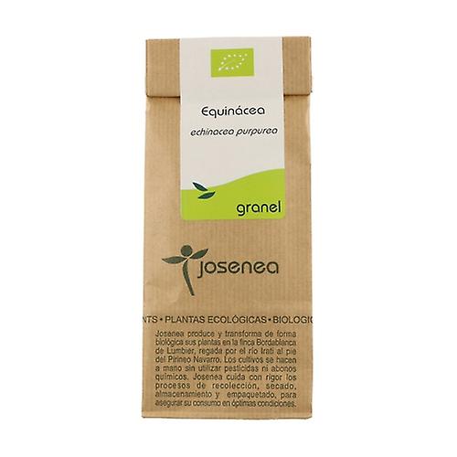 Echinacea 50 g