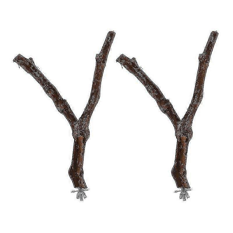 Synthetic Materials Storage Rack For Pet Use