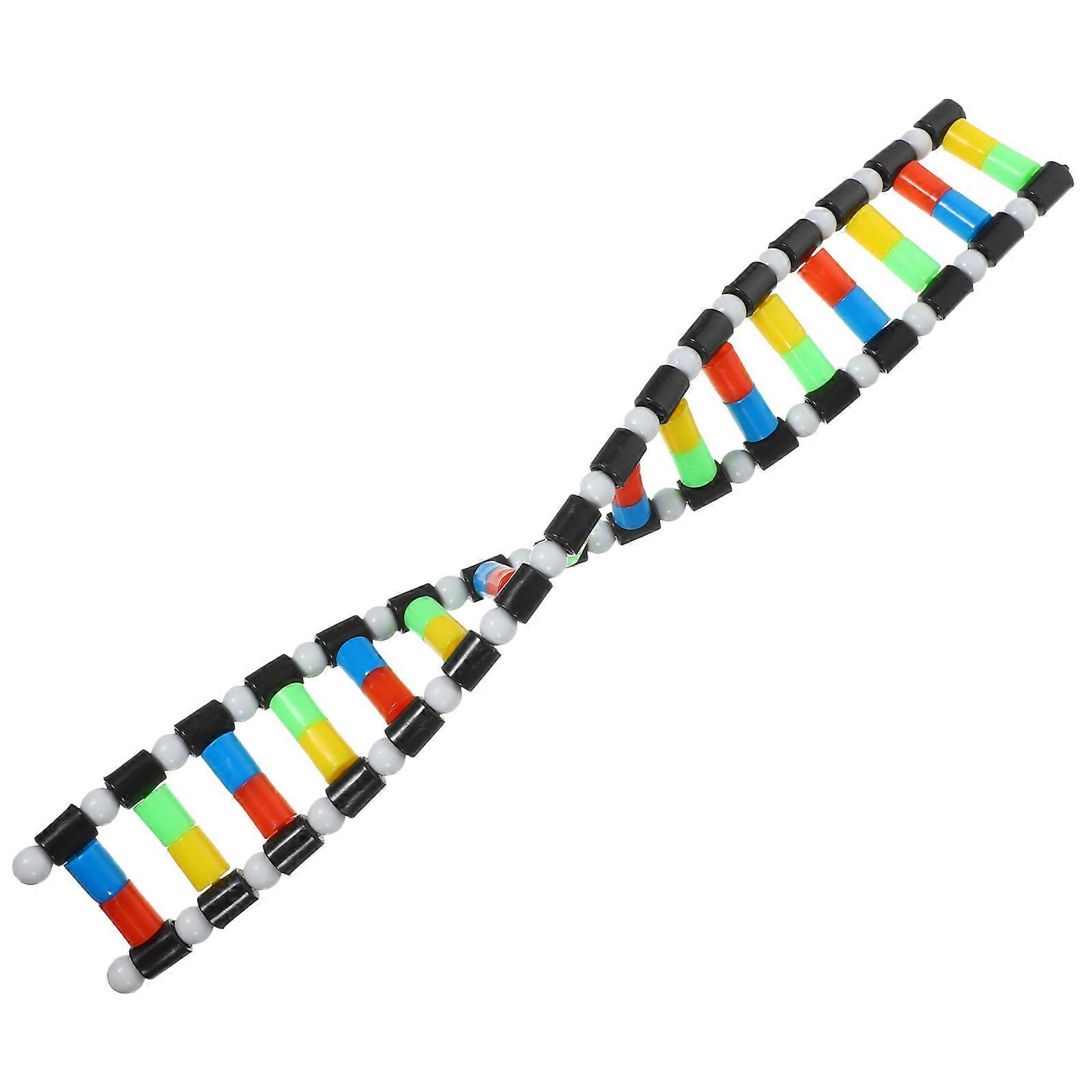 DNA Model Kit for Students Constructed with Safe Plastic Material for Home 10.5 Inches
