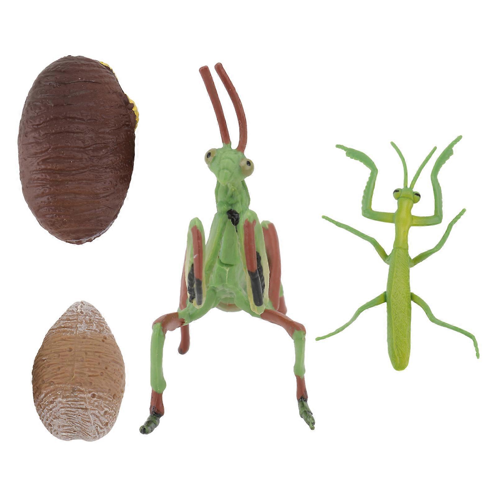 Educational Toy Figurine Crafts for Children Assorted Color Pvc Simulate Life Cycle 1Set